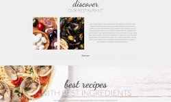 Suspendisse arcu nisl